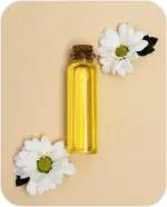 Chamomile Extract