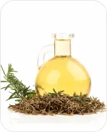 Thyme Extract